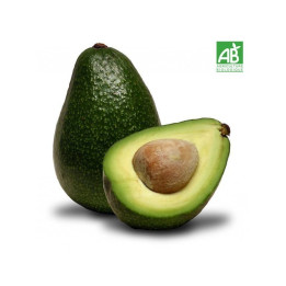 Avocat - BIO - Pérou - pcs