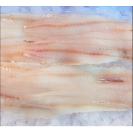 Merlan en filet - avec peau - 1kg