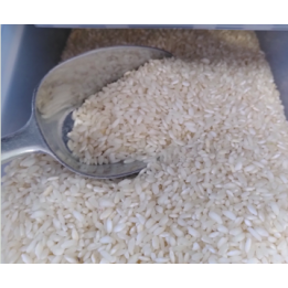 Riz KAROLINA (rond/long) blanc – VRAC*500g– bio