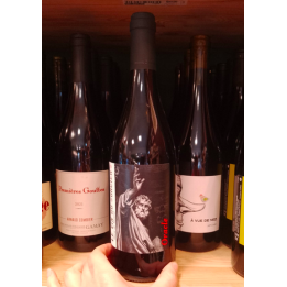 Vin rouge - Oracle - 12,5% - vin du sorcier- 75cl