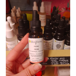 Huile végétale PRUNE - 30ml