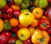 Tomates farcies à la ricotta et au basilic