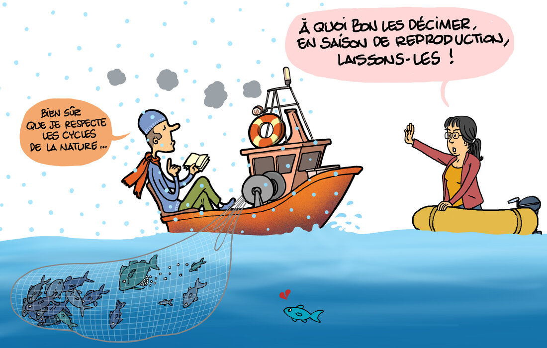 Le respect de la nature et de ses cycles